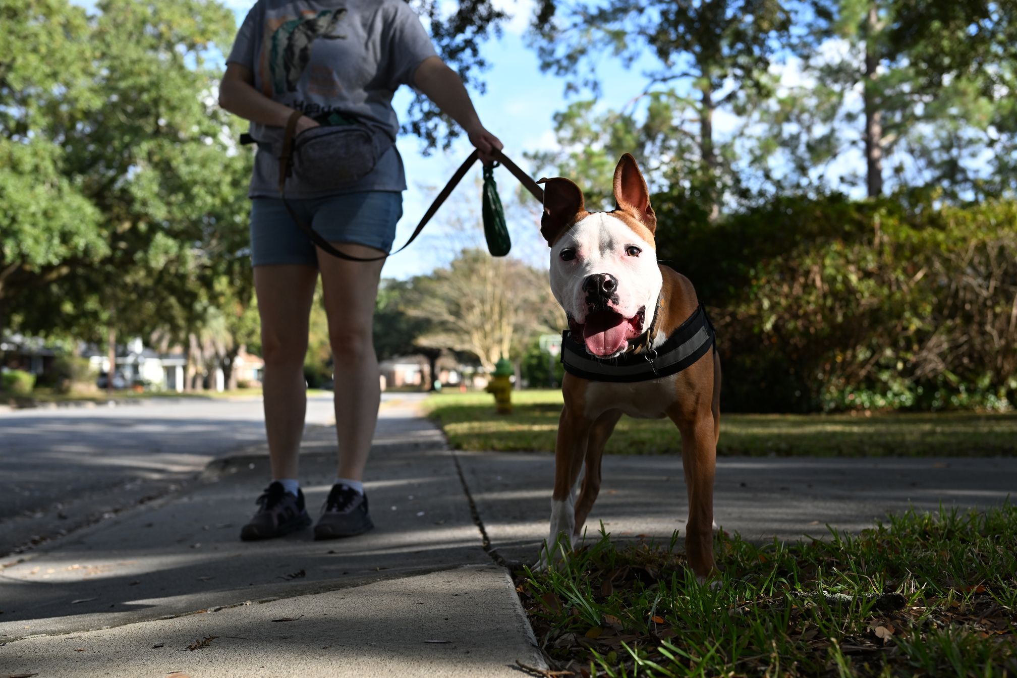 Courage being adorable