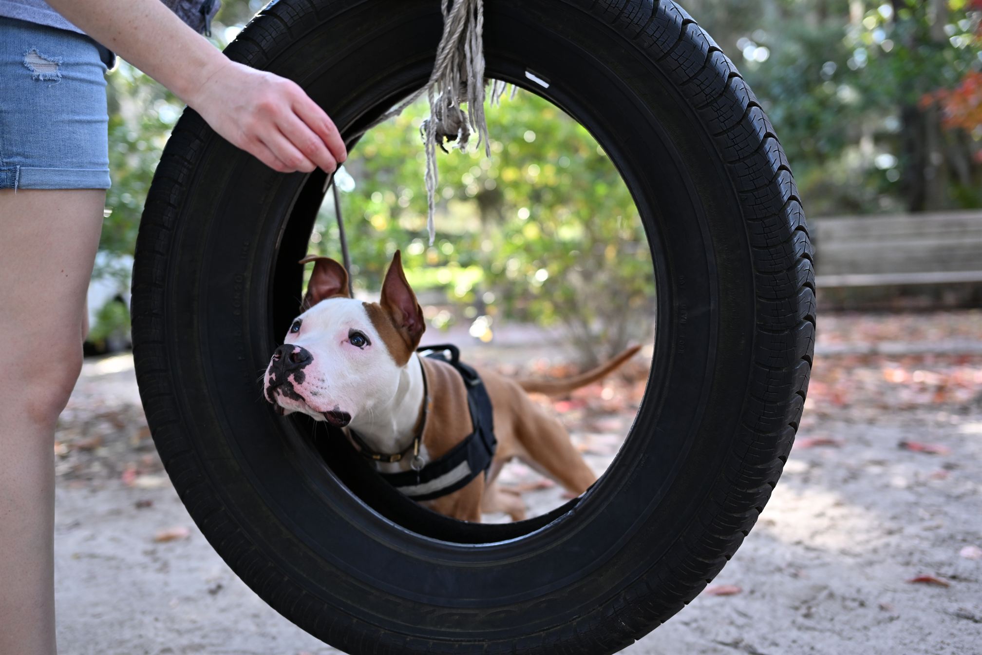 Courage looking cute