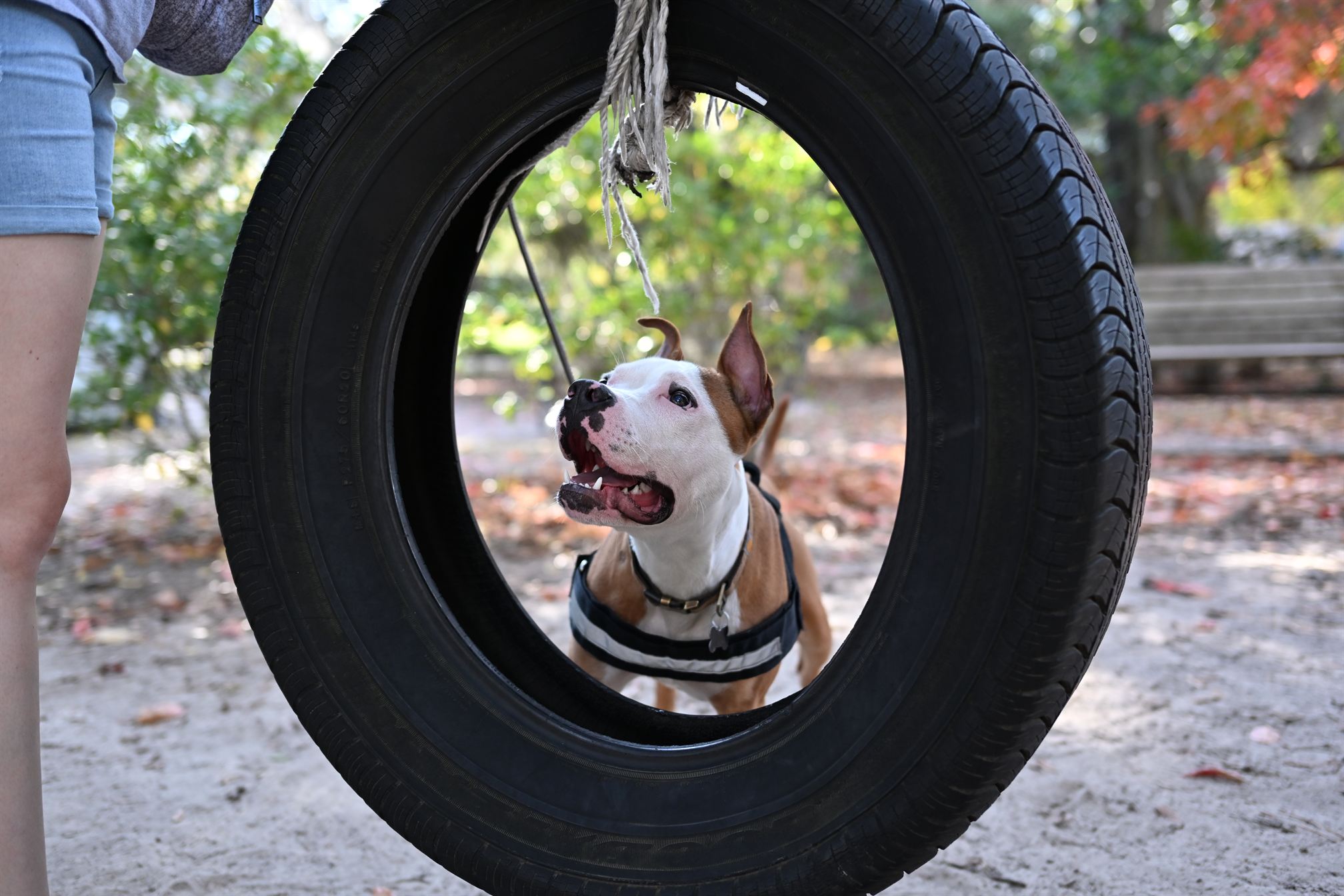 Courage being playful