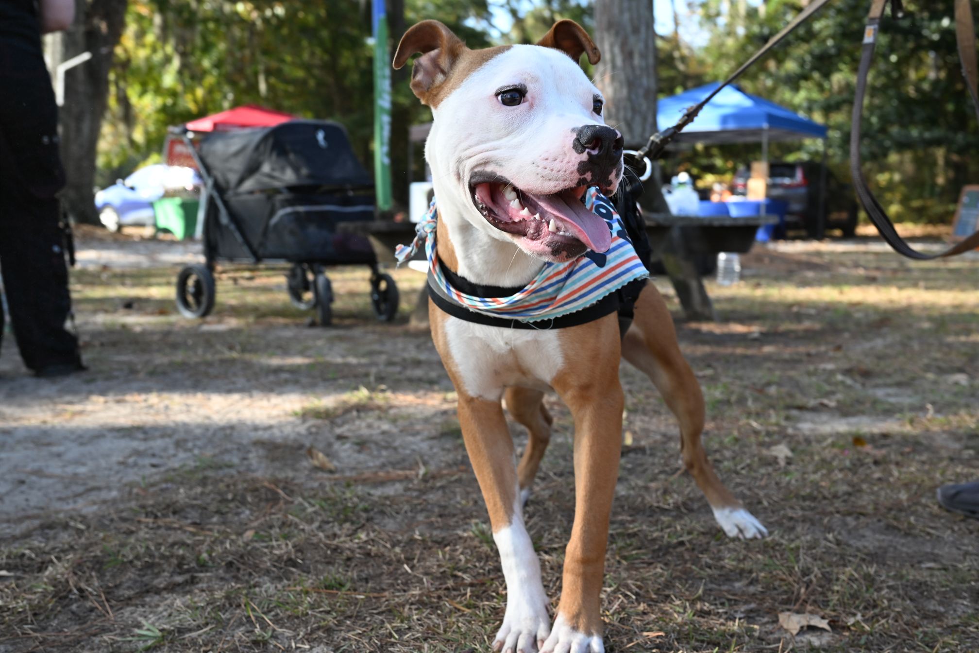 Courage enjoying life